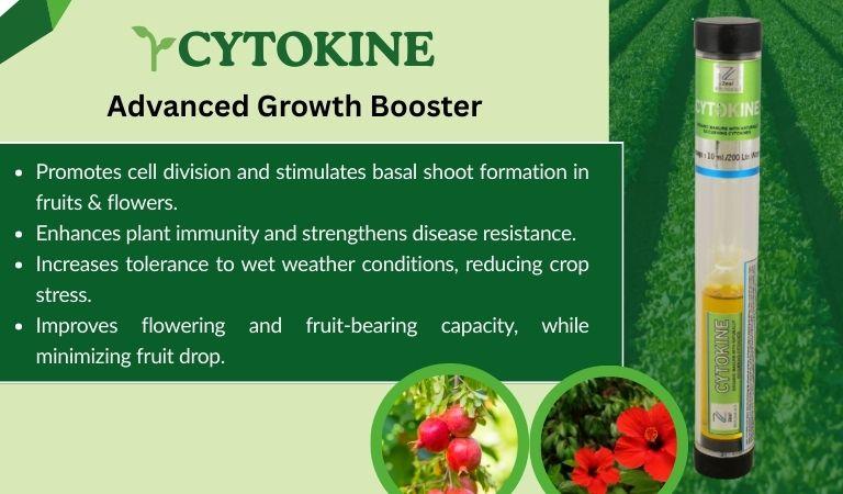 Cytokine