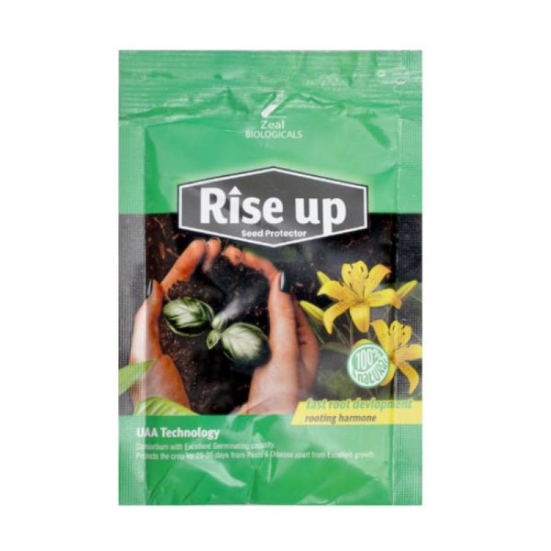 Rise Up