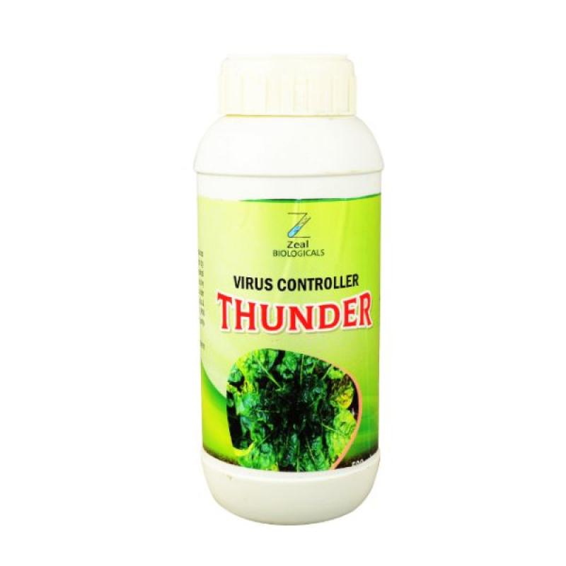 Thunder
