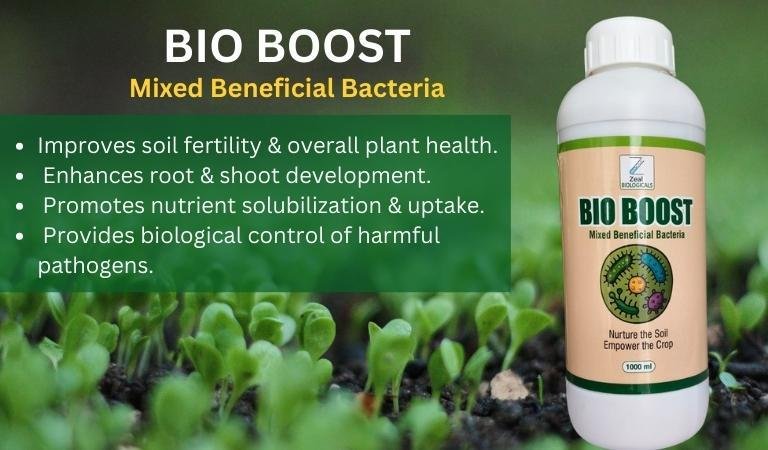 BIO BOOST