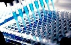 Micro Biology Testing