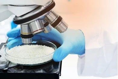 Rice Testing Service for exports