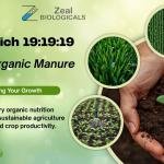 Grow RICH 19 19 19