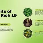 Grow RICH 19 19 19