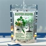 Beauveria bassiana – Natural Pest Control Power
