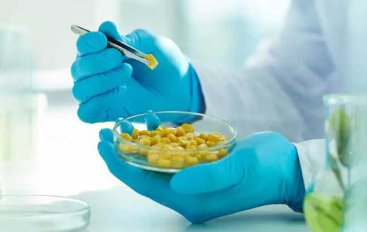 Food Testing