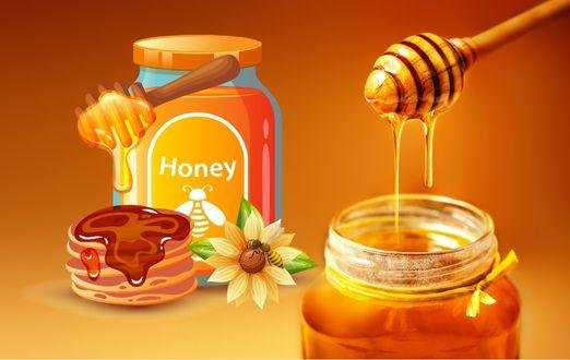 Honey Adulteration Testing Services