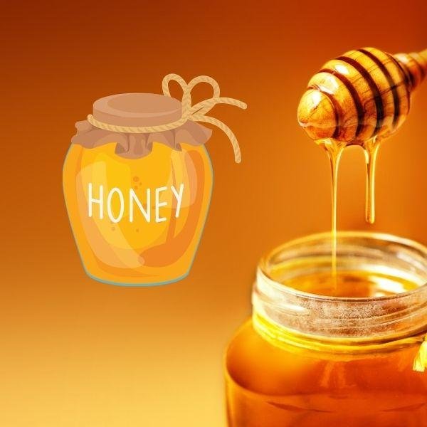 Honey Adulteration Testing Services