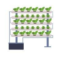 Hydroponics