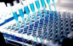 Microbiology Testing
