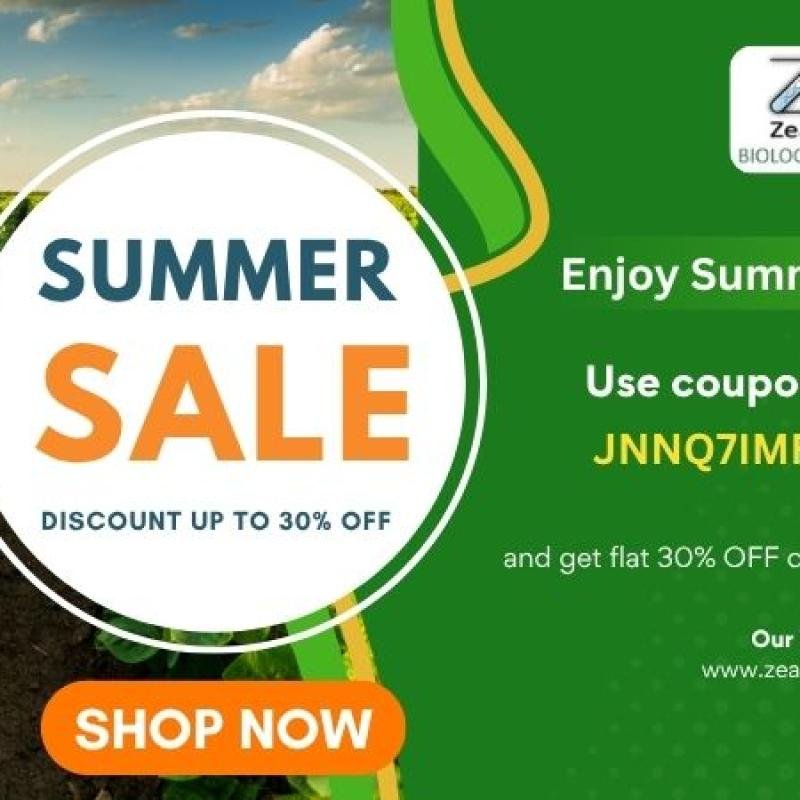🌞 SUMMER SALE IS LIVE! 🌱