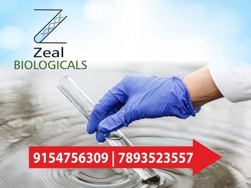 Water Testing Bore