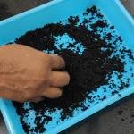 SHOOT POWDER- Dual Bio Power for Complete Pest Protection