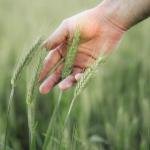 SHOOT POWDER- Dual Bio Power for Complete Pest Protection